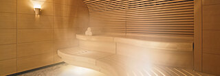 air humidification for saunas @ 