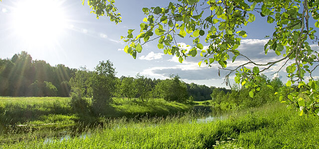 conscient de l'environnement recyclage