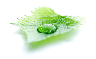 air humidification sustainability @ 